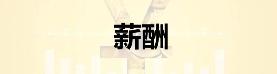 2024年岗位薪酬薪水分析报告(44份)