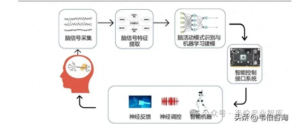 脑机接口专题分析报告(摘要):脑机接口技术路径、下游应用场景、市场规模及潜力、主要标的/上市公司及头部企业、商业化前景(37页)