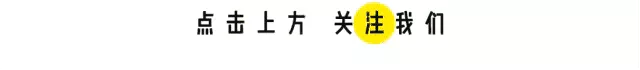 壁纸库丨.不是不报,日子未到