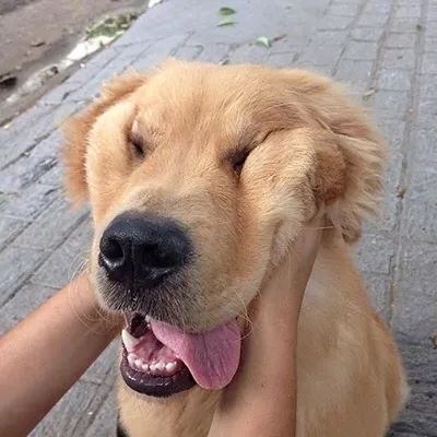 小哥哥专用壁纸~