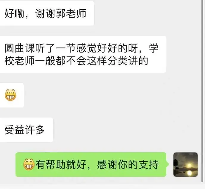 【跃龙门清北培优】郭伟全年高考总复习体系培优-第111张图片-四季读书网