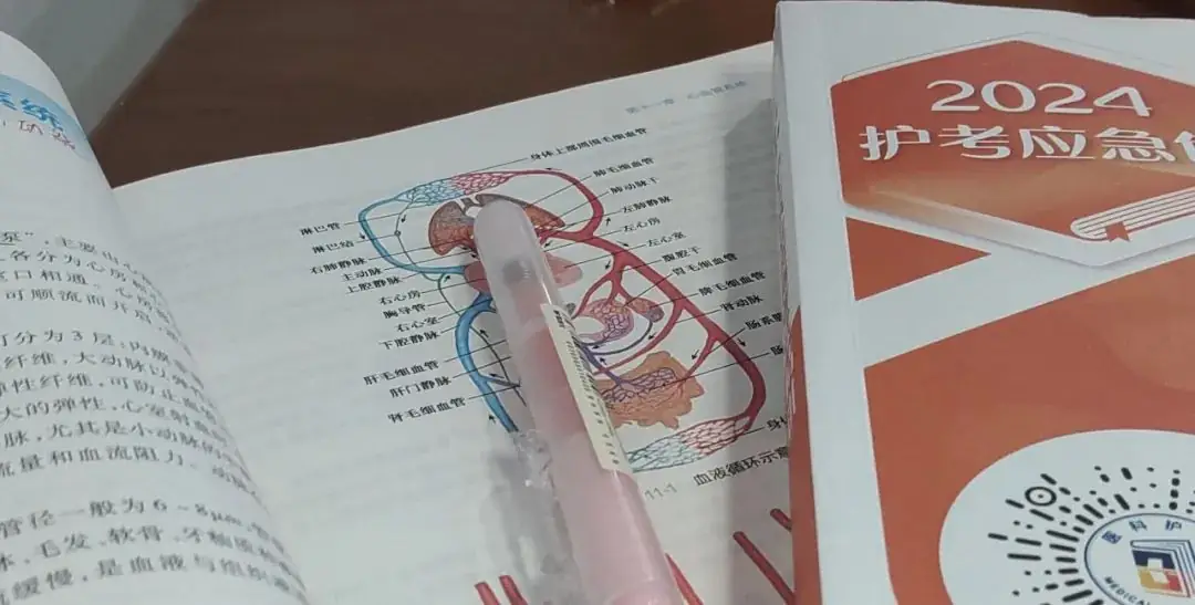 高考90天倒计时|破晓而生 踏浪前行 第25张