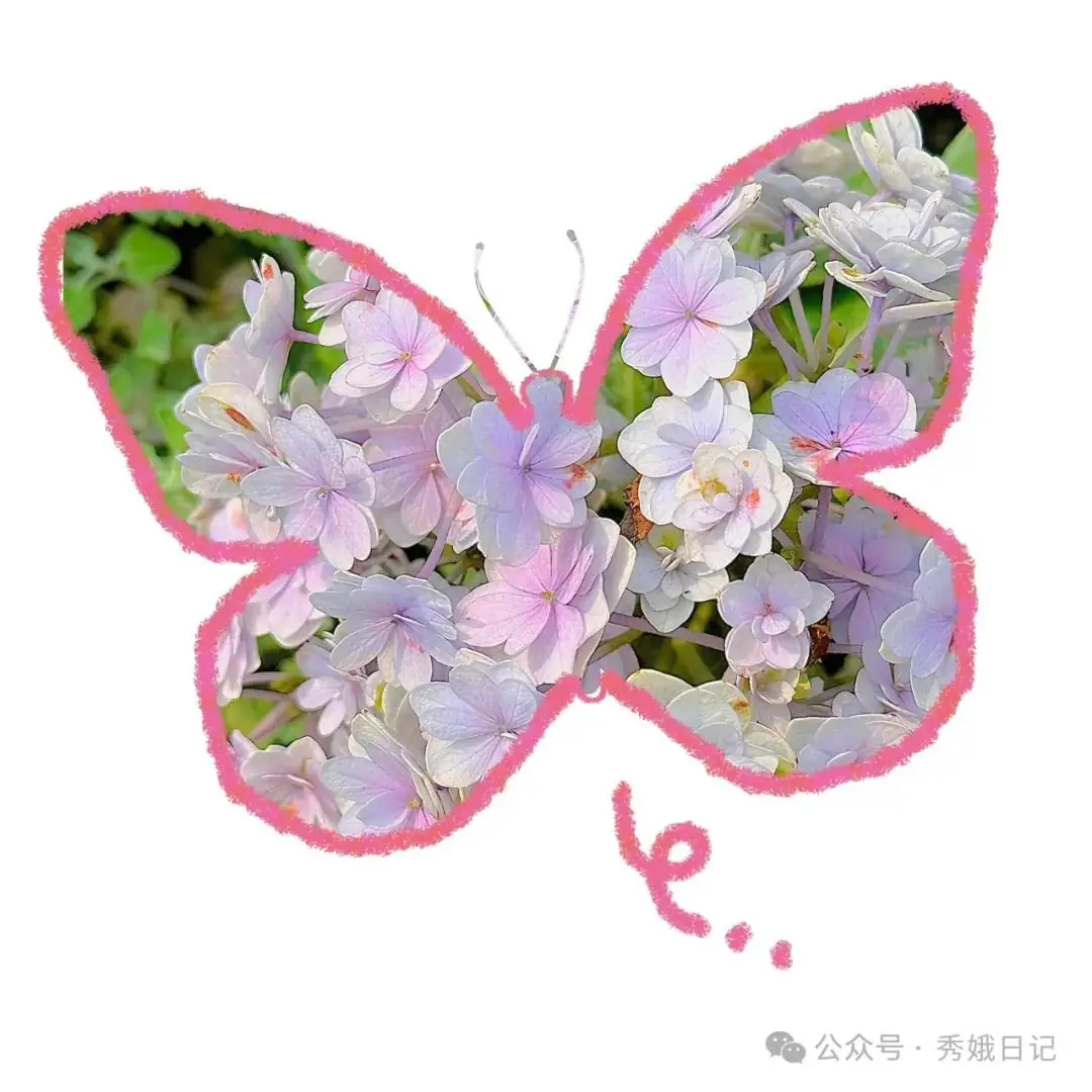 如何陪伴中考高考的孩子-第1张图片-四季读书网 如何陪伴中考高考的孩子-第1张图片-四季读书网