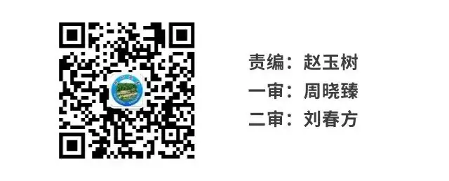 鏖战百日赢中考 龙行龘龘向未来———宝农学校举行2024年中考百日誓师大会 第9张