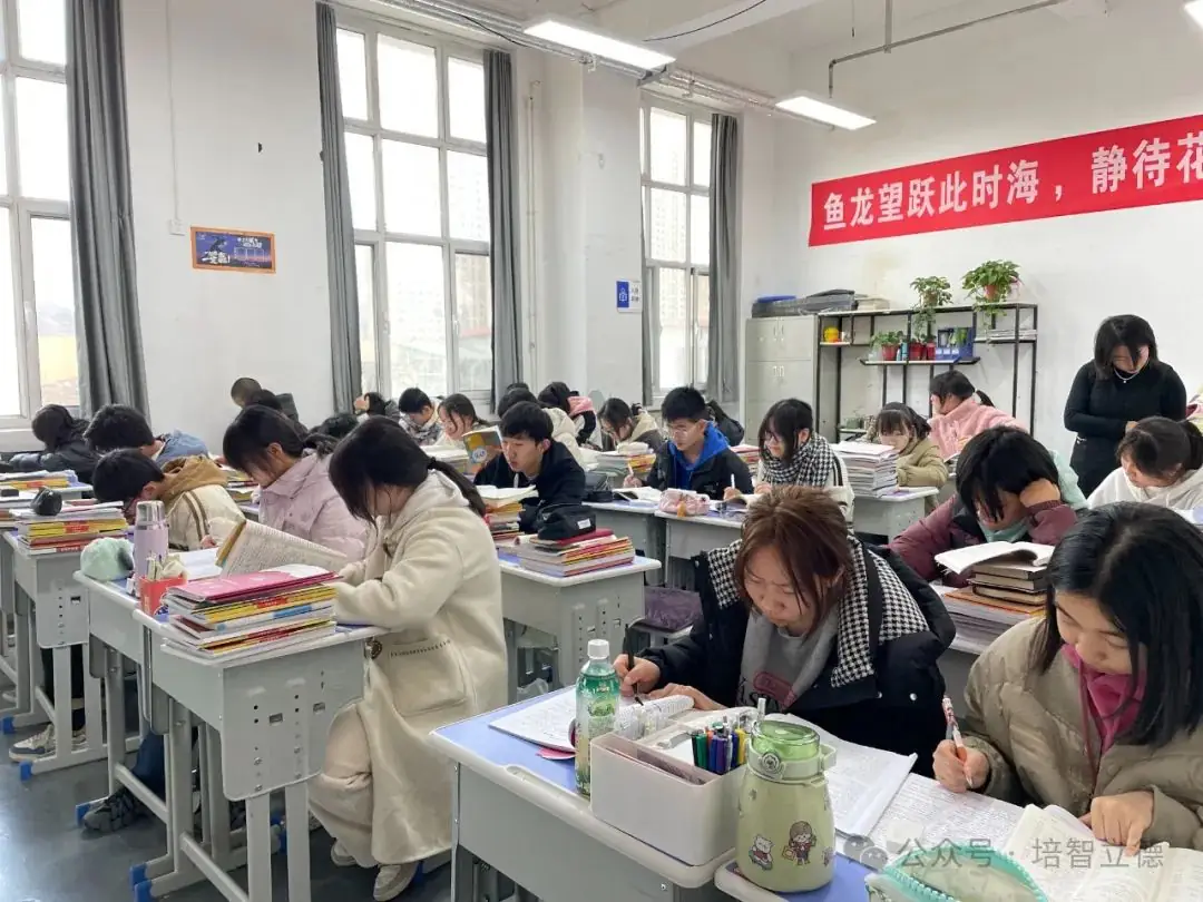 立德教育2024届中考冲刺招生简章 | 百日冲刺 决战中考 第25张