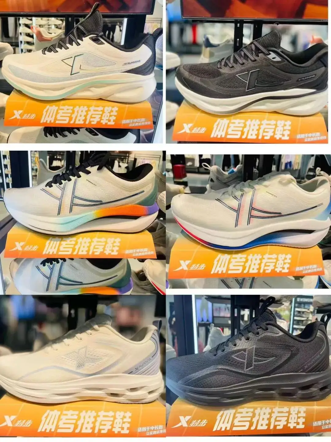 ღ_胖发祥丨中考体训好商品推荐-第8张图片-四季读书网