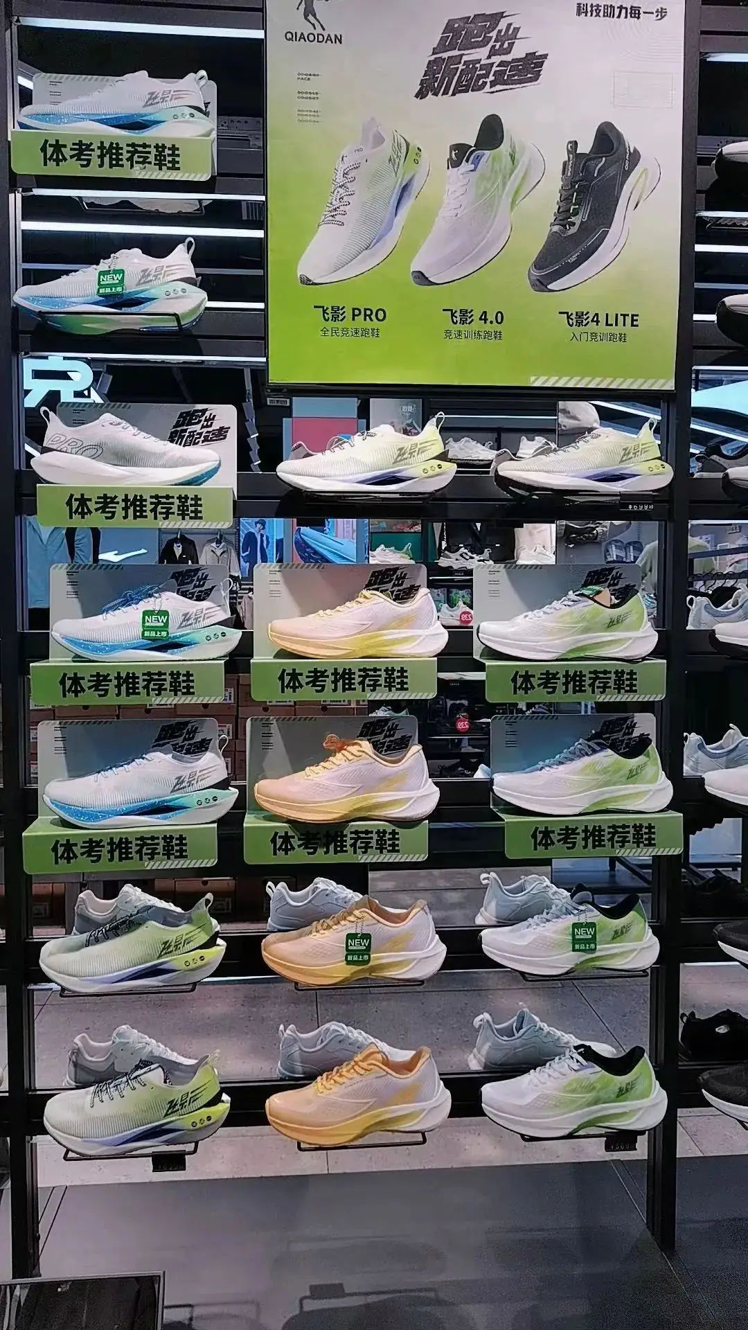 ღ_胖发祥丨中考体训好商品推荐-第3张图片-四季读书网