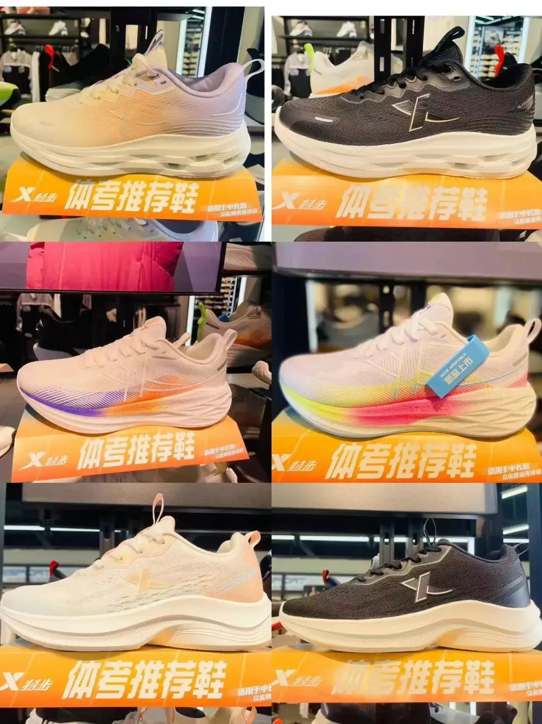ღ_胖发祥丨中考体训好商品推荐-第7张图片-四季读书网