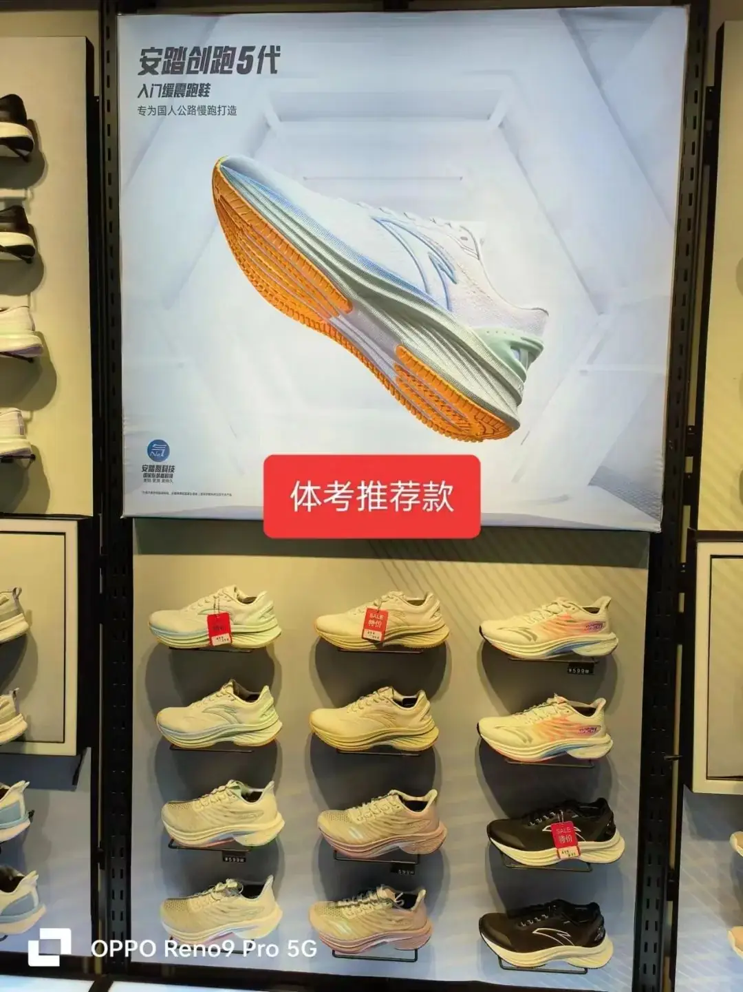 ღ_胖发祥丨中考体训好商品推荐-第11张图片-四季读书网