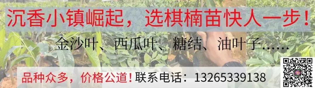最新通知!事关2024年茂名中考报名 第2张