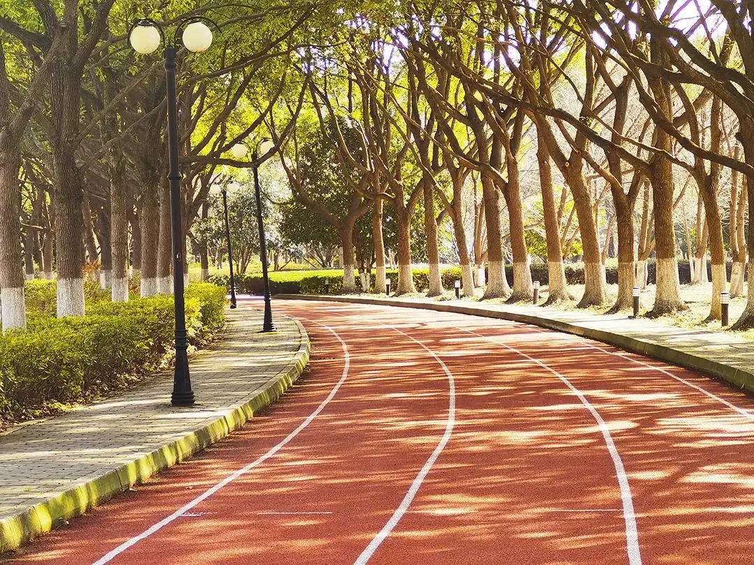 2024中考作文重点猜押:五月启程| 命题解析| 写作技巧| 范文| 老师点评及修改意见 (中学生看过来,收藏学习,助你提分) 第2张