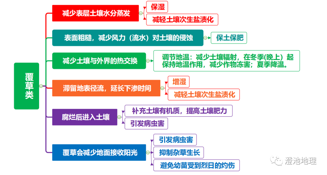 高考地理 | 农业的覆盖技术(附农业思维导图)-第19张图片-四季读书网 高考地理 | 农业的覆盖技术(附农业思维导图)-第19张图片-四季读书网