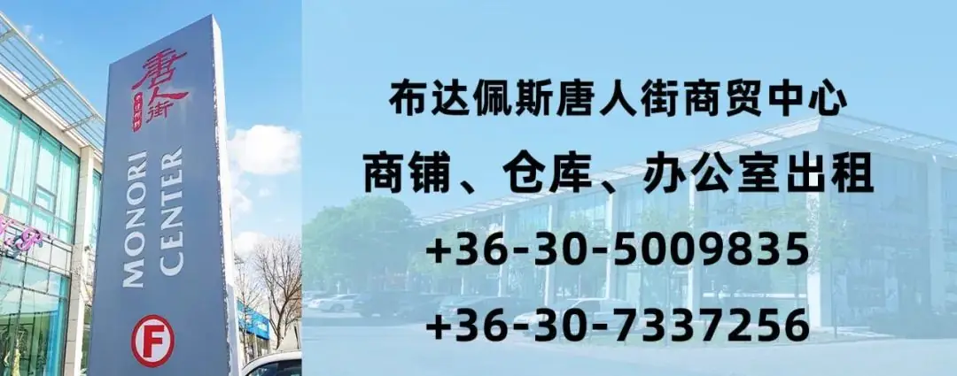 【罗兰大学丝路国学堂】5年级中考备考班、外语班、中文线上课、2024语言培训、春季课程安排-第21张图片-四季读书网