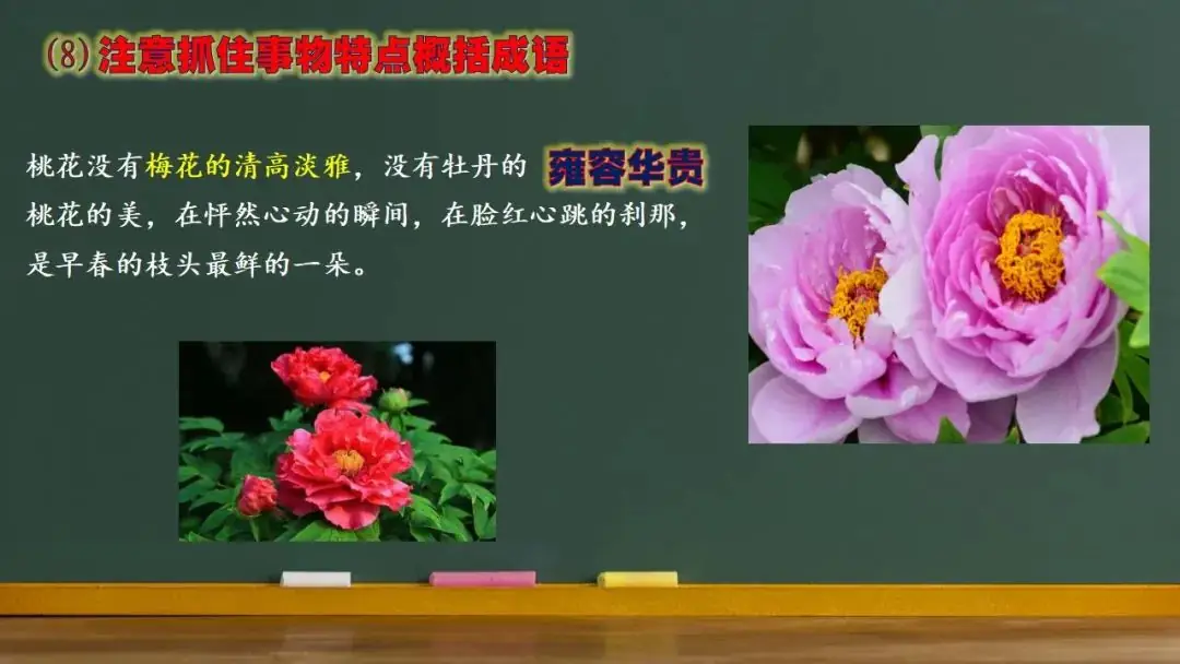 高考语文新题型(成语填空)-第21张图片-四季读书网
