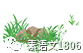 1. 中考押题作文4篇,附思路解析-第1张图片-四季读书网