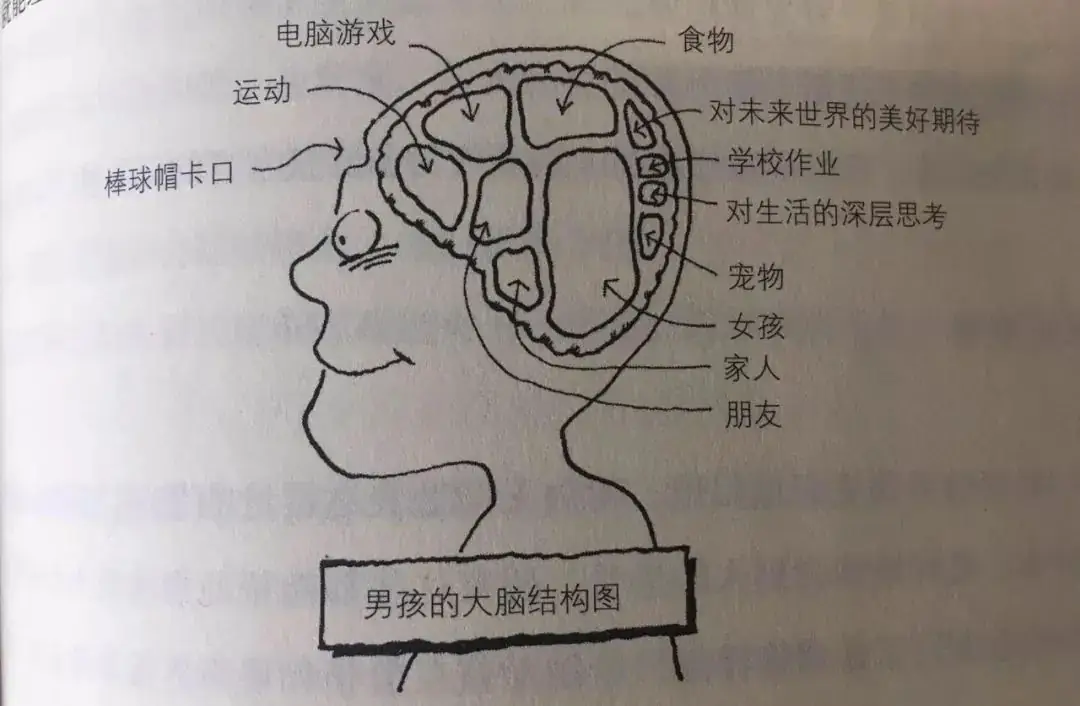 中考分流,淘汰是男孩?真相太扎心了!-第4张图片-四季读书网