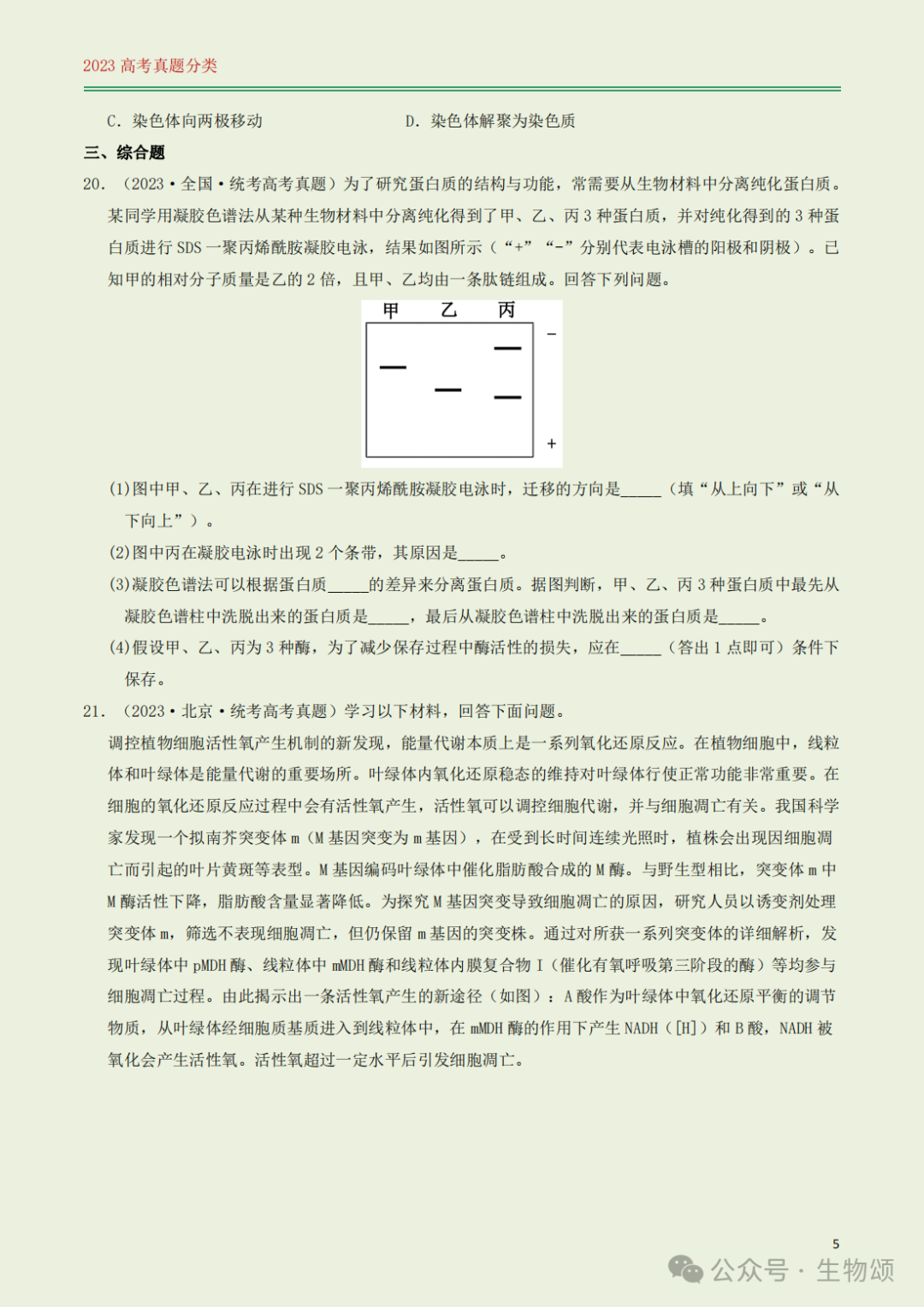 高考专题训练(打卡第1天) l 细胞的结构与分子组成-第5张图片-四季读书网