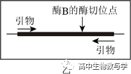 2023年北京市高考生物试卷+答案+解析-第11张图片-四季读书网