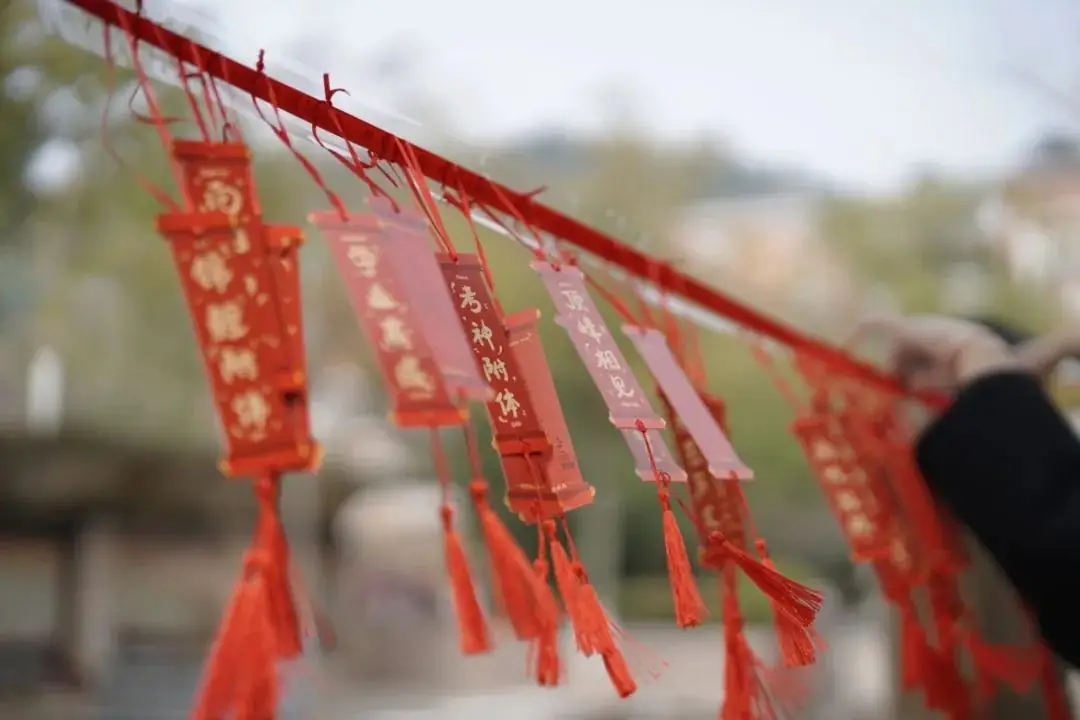 百日誓师凌云志 奋楫扬帆迎中考|青田县华侨中学举行中考百日誓师大会暨远足毅行活动-第4张图片-四季读书网