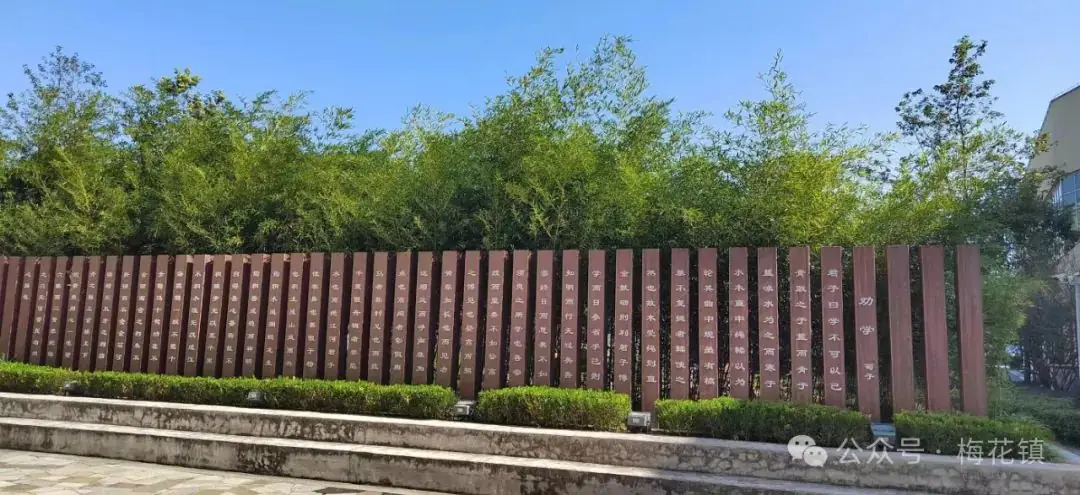 我改了八年中考试卷-第2张图片-四季读书网