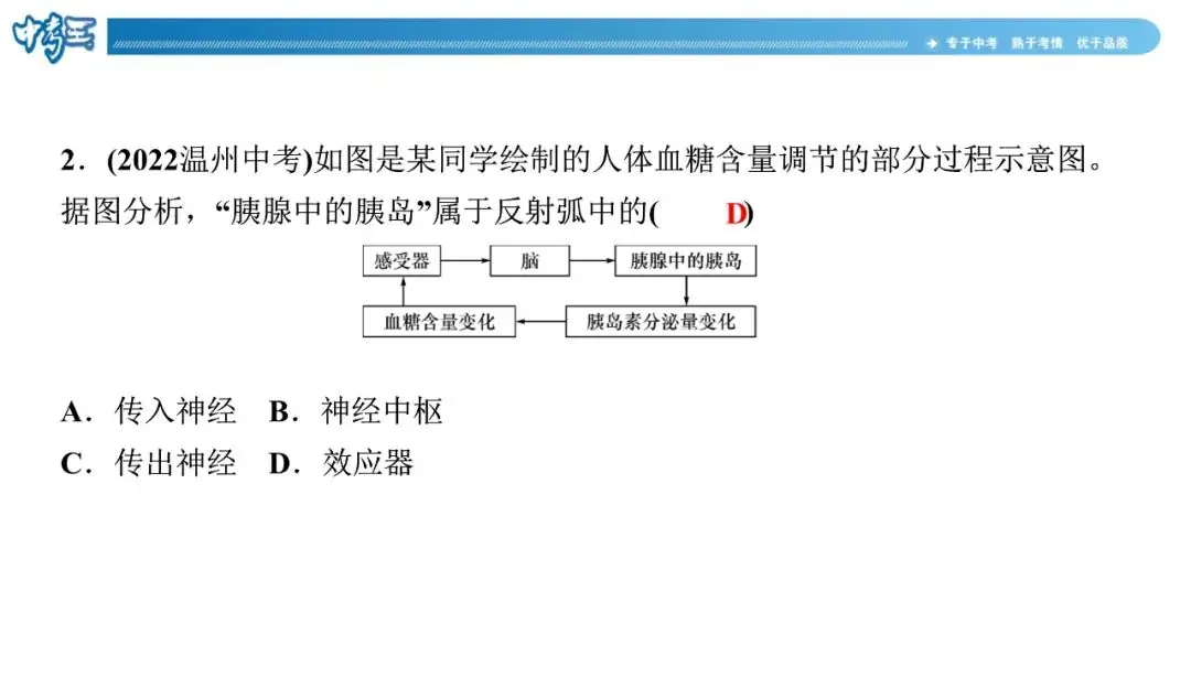 中考生物 | 冀少版重点题型攻略1识图题考点8人体生命活动的调节-第9张图片-四季读书网 中考生物 | 冀少版重点题型攻略1识图题考点8人体生命活动的调节-第9张图片-四季读书网