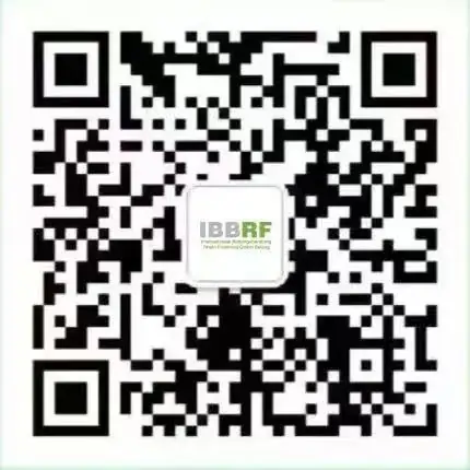 高考多少分,能就读德国QS前200高校?-第12张图片-四季读书网