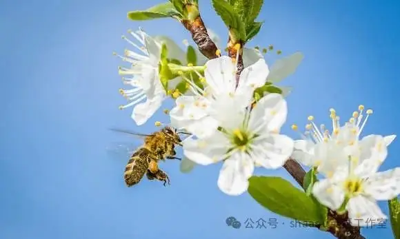 高考真题阅读高频词汇-第5张图片-四季读书网 高考真题阅读高频词汇-第5张图片-四季读书网