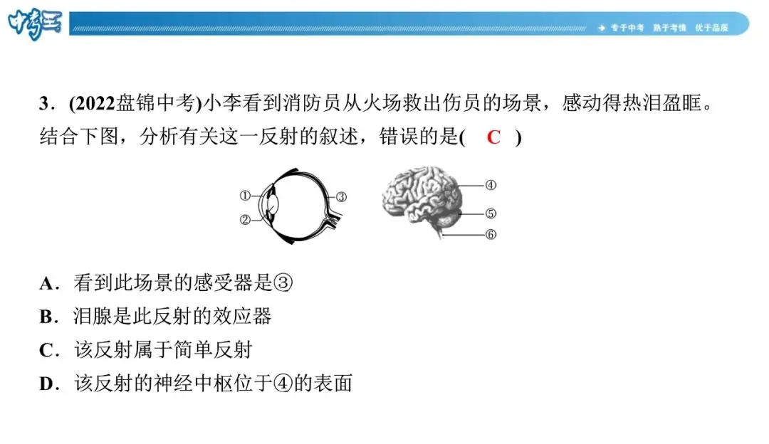 中考生物 | 冀少版重点题型攻略1识图题考点8人体生命活动的调节-第10张图片-四季读书网 中考生物 | 冀少版重点题型攻略1识图题考点8人体生命活动的调节-第10张图片-四季读书网