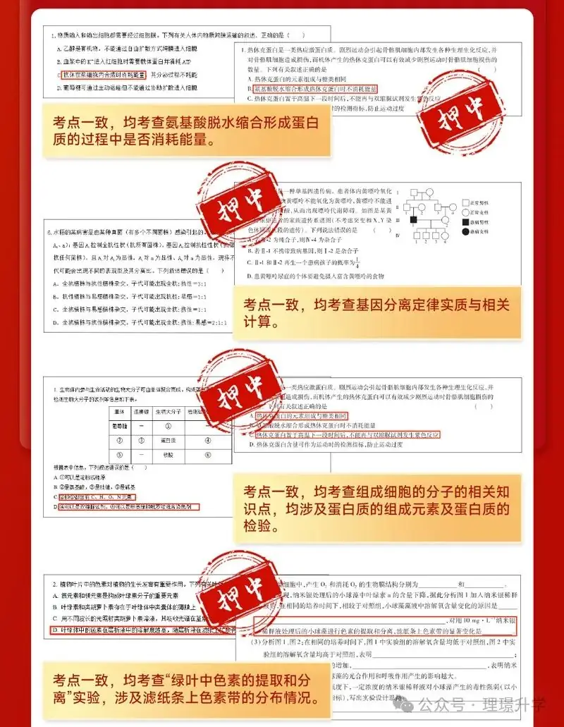 2024年王后雄高考押题卷预定火热进行中,早拍早发货!-第31张图片-四季读书网 2024年王后雄高考押题卷预定火热进行中,早拍早发货!-第31张图片-四季读书网