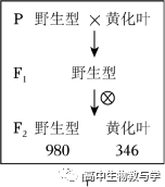 2023年北京市高考生物试卷+答案+解析-第10张图片-四季读书网