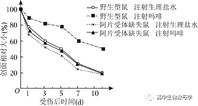 2023年北京市高考生物试卷+答案+解析-第5张图片-四季读书网