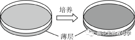 2023年北京市高考生物试卷+答案+解析-第6张图片-四季读书网