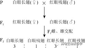 2023年北京市高考生物试卷+答案+解析-第3张图片-四季读书网