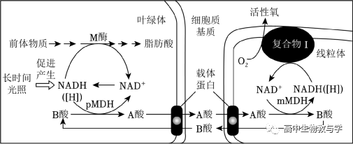 2023年北京市高考生物试卷+答案+解析-第13张图片-四季读书网