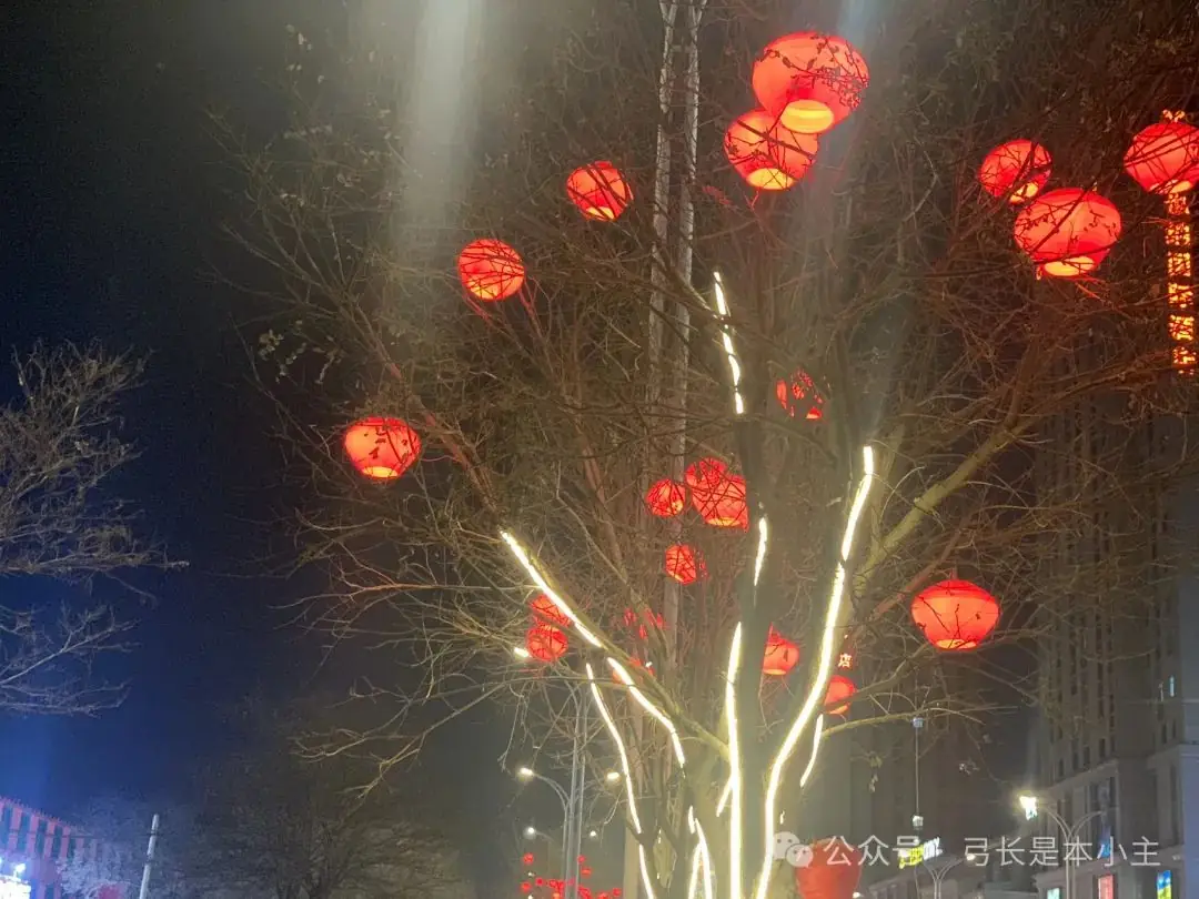 让中考成为一次课题-第5张图片-四季读书网