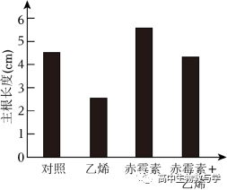 2023年北京市高考生物试卷+答案+解析-第4张图片-四季读书网