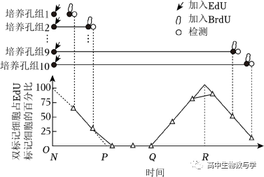 2023年北京市高考生物试卷+答案+解析-第14张图片-四季读书网