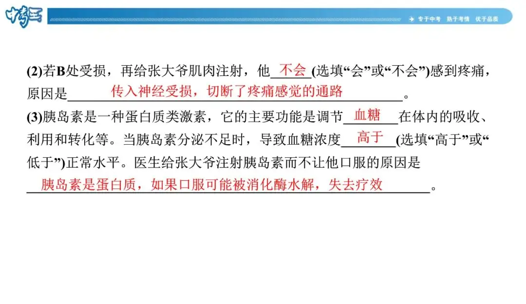 中考生物 | 冀少版重点题型攻略1识图题考点8人体生命活动的调节-第12张图片-四季读书网 中考生物 | 冀少版重点题型攻略1识图题考点8人体生命活动的调节-第12张图片-四季读书网