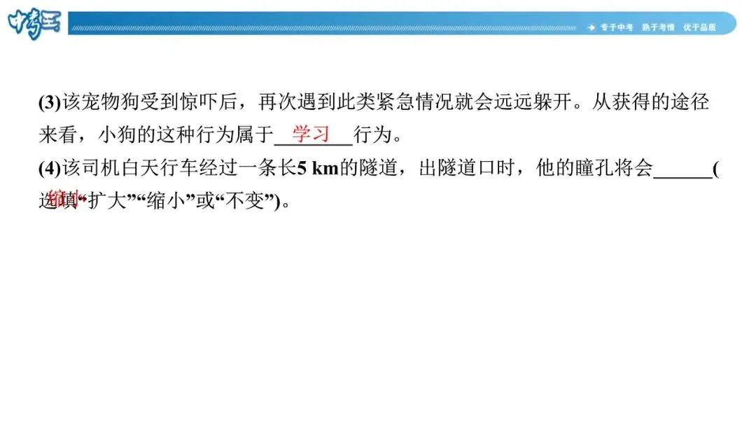 中考生物 | 冀少版重点题型攻略1识图题考点8人体生命活动的调节-第16张图片-四季读书网 中考生物 | 冀少版重点题型攻略1识图题考点8人体生命活动的调节-第16张图片-四季读书网