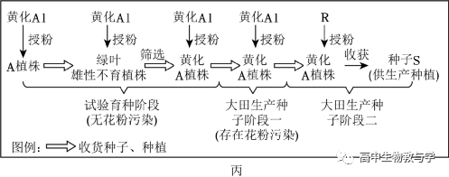 2023年北京市高考生物试卷+答案+解析-第12张图片-四季读书网