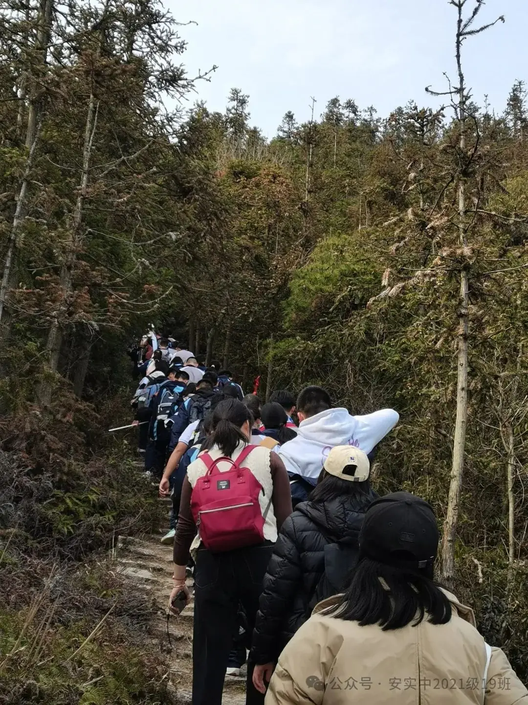 沧海登峰砺意志,中考逐梦展风华——沧海中队大罗山远足暨中考百日誓师活动小记 第111张 沧海登峰砺意志,中考逐梦展风华——沧海中队大罗山远足暨中考百日誓师活动小记 第111张