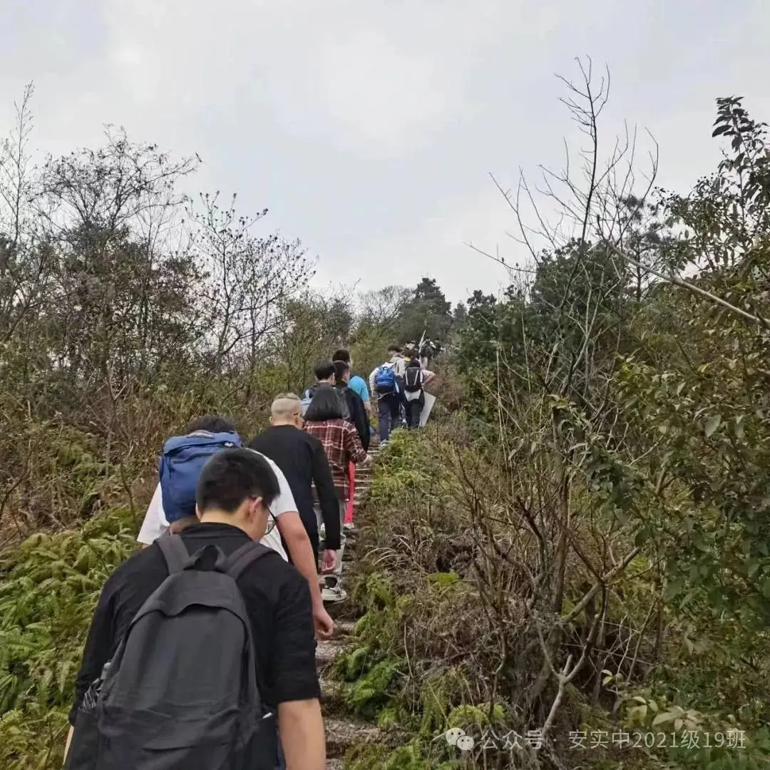 沧海登峰砺意志,中考逐梦展风华——沧海中队大罗山远足暨中考百日誓师活动小记 第45张 沧海登峰砺意志,中考逐梦展风华——沧海中队大罗山远足暨中考百日誓师活动小记 第45张