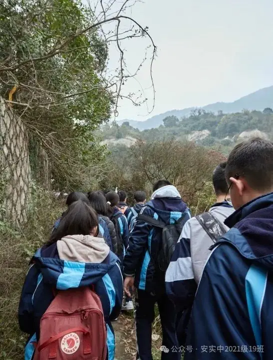 沧海登峰砺意志,中考逐梦展风华——沧海中队大罗山远足暨中考百日誓师活动小记 第38张 沧海登峰砺意志,中考逐梦展风华——沧海中队大罗山远足暨中考百日誓师活动小记 第38张