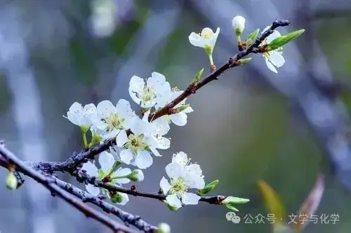 冲刺2024年高考化学真题重组卷(湖南专用)03-第13张图片-四季读书网 冲刺2024年高考化学真题重组卷(湖南专用)03-第13张图片-四季读书网
