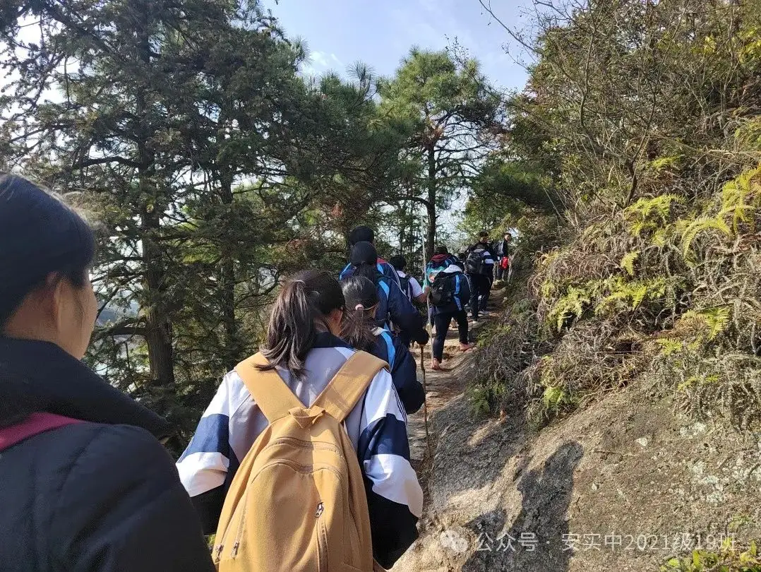 沧海登峰砺意志,中考逐梦展风华——沧海中队大罗山远足暨中考百日誓师活动小记 第131张 沧海登峰砺意志,中考逐梦展风华——沧海中队大罗山远足暨中考百日誓师活动小记 第131张