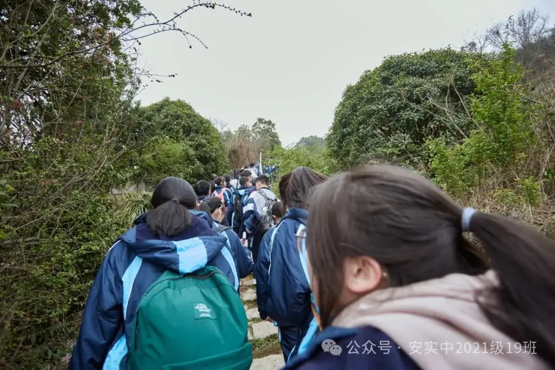 沧海登峰砺意志,中考逐梦展风华——沧海中队大罗山远足暨中考百日誓师活动小记 第43张 沧海登峰砺意志,中考逐梦展风华——沧海中队大罗山远足暨中考百日誓师活动小记 第43张