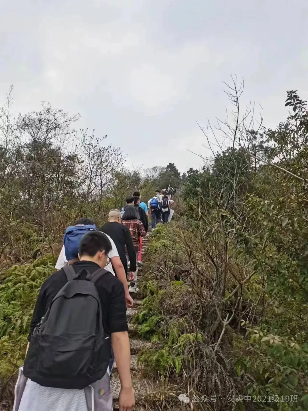 沧海登峰砺意志,中考逐梦展风华——沧海中队大罗山远足暨中考百日誓师活动小记 第42张 沧海登峰砺意志,中考逐梦展风华——沧海中队大罗山远足暨中考百日誓师活动小记 第42张
