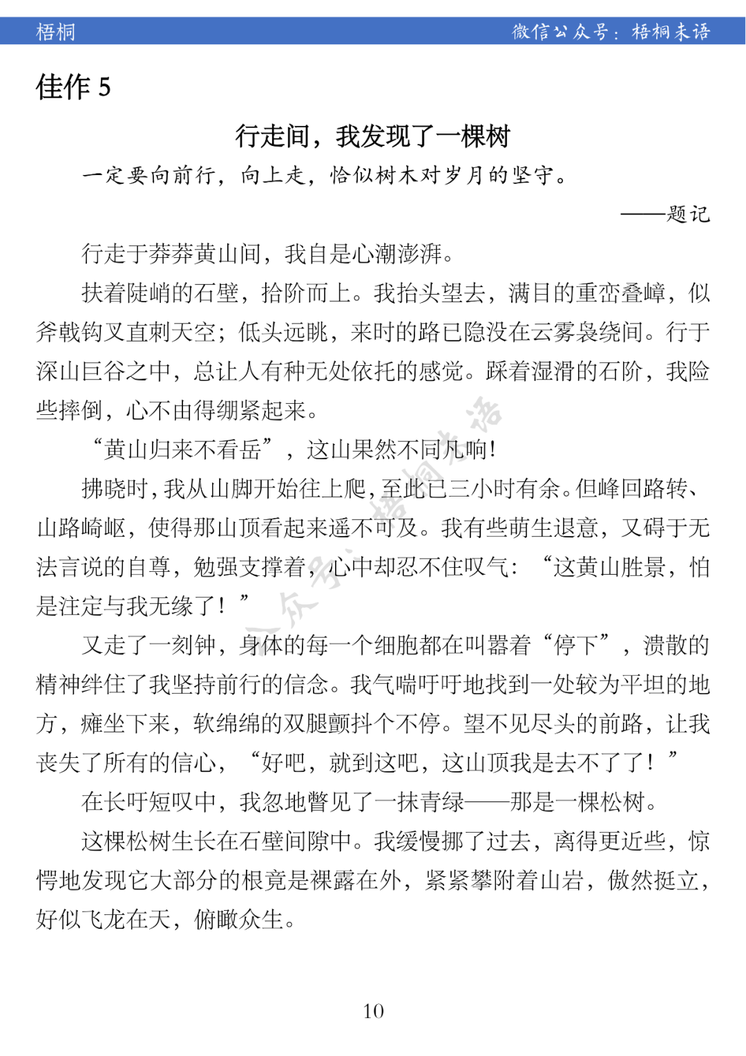 中考作文解读、范文精选与点评:2023南通 第10张 中考作文解读、范文精选与点评:2023南通 第10张