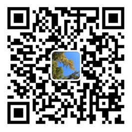 2024年新高考第19题之伯努利不等式-第23张图片-四季读书网
