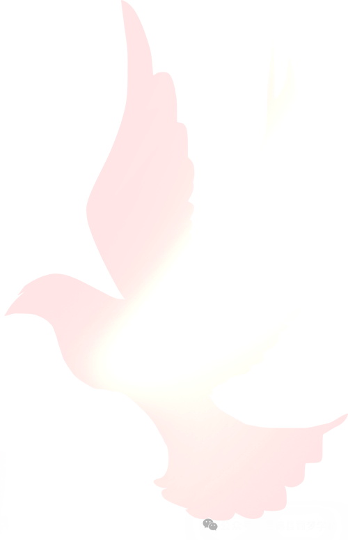 圆梦学校中考小考百日誓师 厉兵秣马战百日,不负韶华少年时 第44张 圆梦学校中考小考百日誓师 厉兵秣马战百日,不负韶华少年时 第44张